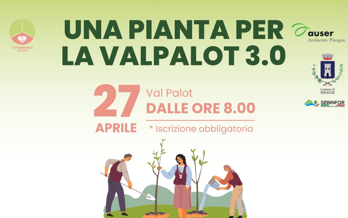 Una pianta per la Val Palot 3.0
